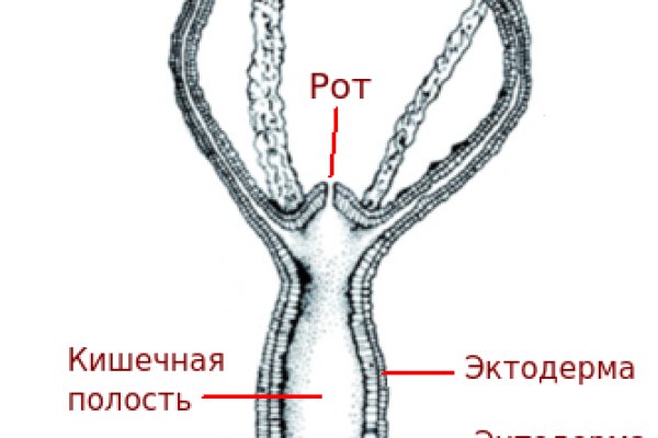 Кракен про vtor run