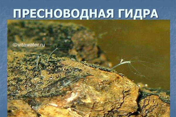 Kraken darknet market зеркало