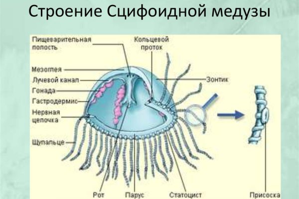 Кракен даркнет рабочая