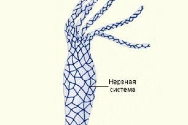 Кракен нарко